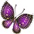 бабочка violet
