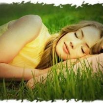 подушка из трав, подушка для хорошего сна, растения против бессонницы